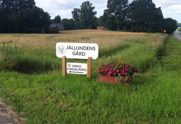 Blommor längs vägen