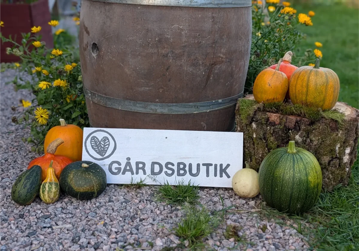 pumpuner utanför gårdsbutik