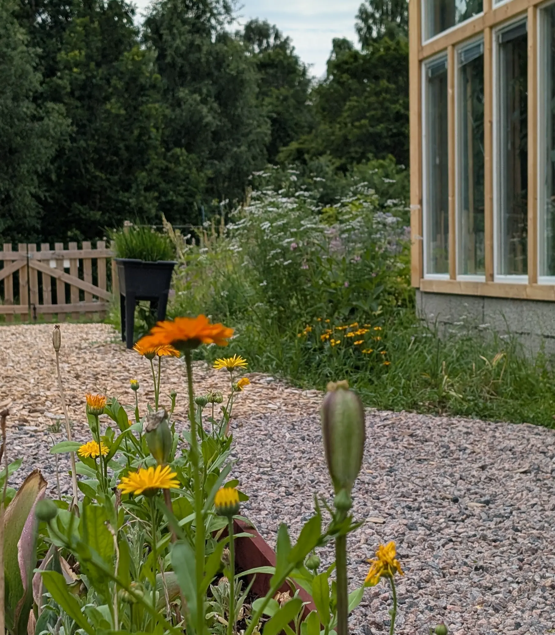 Gårdsbutiken med blommor i förgrunden